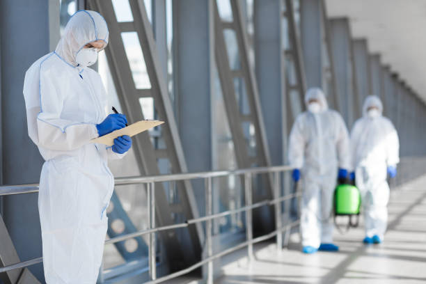 Best Basement Mold Removal  in French Valley, CA