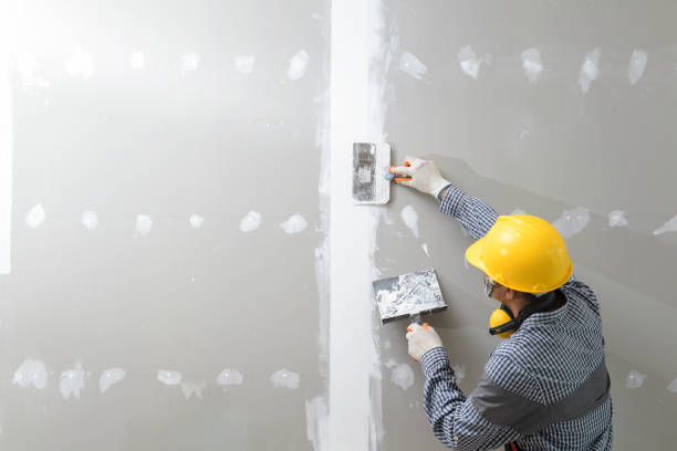 Best Mold-Related Health Consultation  in French Valley, CA