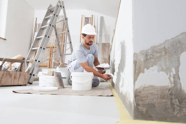 Best Mold Odor Removal Services  in French Valley, CA