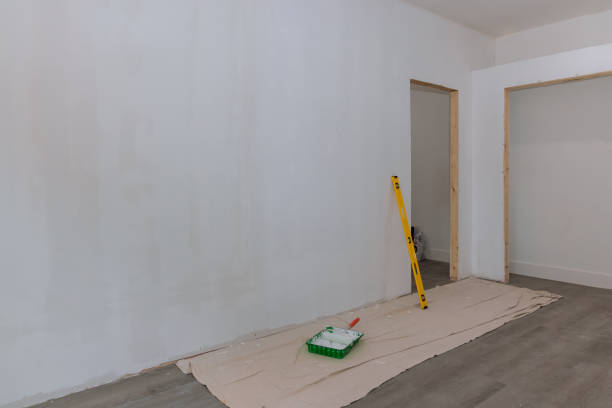 Best Forensic Mold Investigation  in French Valley, CA