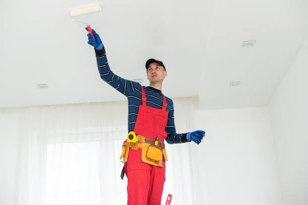 Best Dehumidification Services  in French Valley, CA