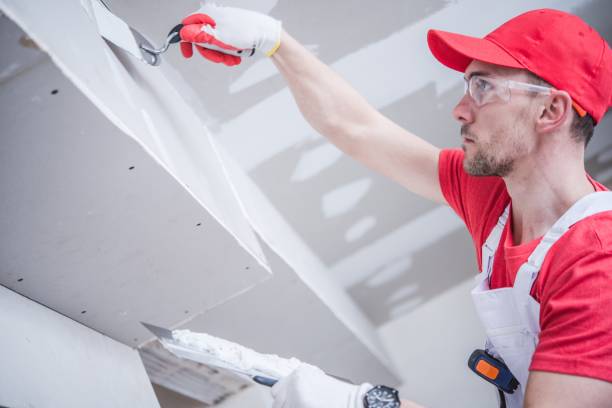 Mold Odor Removal Services in French Valley, CA